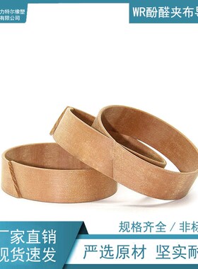 WR导向环 244*250*25 /245*250*15 /245J*250*20 /245*250*25