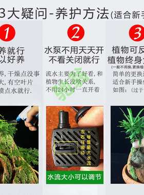 yut蓬莱仙境吸水奇石假山盆景上水石摆件鱼缸室内办公室流水原植