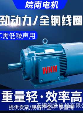 皖南电机YZC低振动低噪声三相异步电动机特种专用22kw30kw37kw45k
