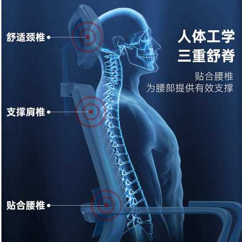 人体工学办公椅职员工位会议经理老板办公椅升降人体工学电脑椅