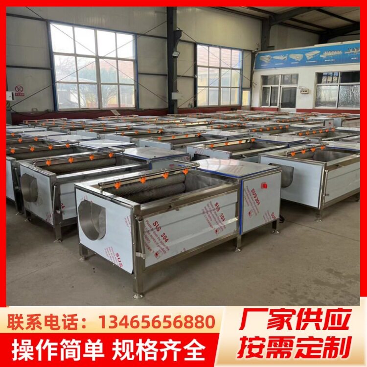 黄精天麻毛刷棍清洗机六指毛桃清洗机器马蹄毛刷清洗设备