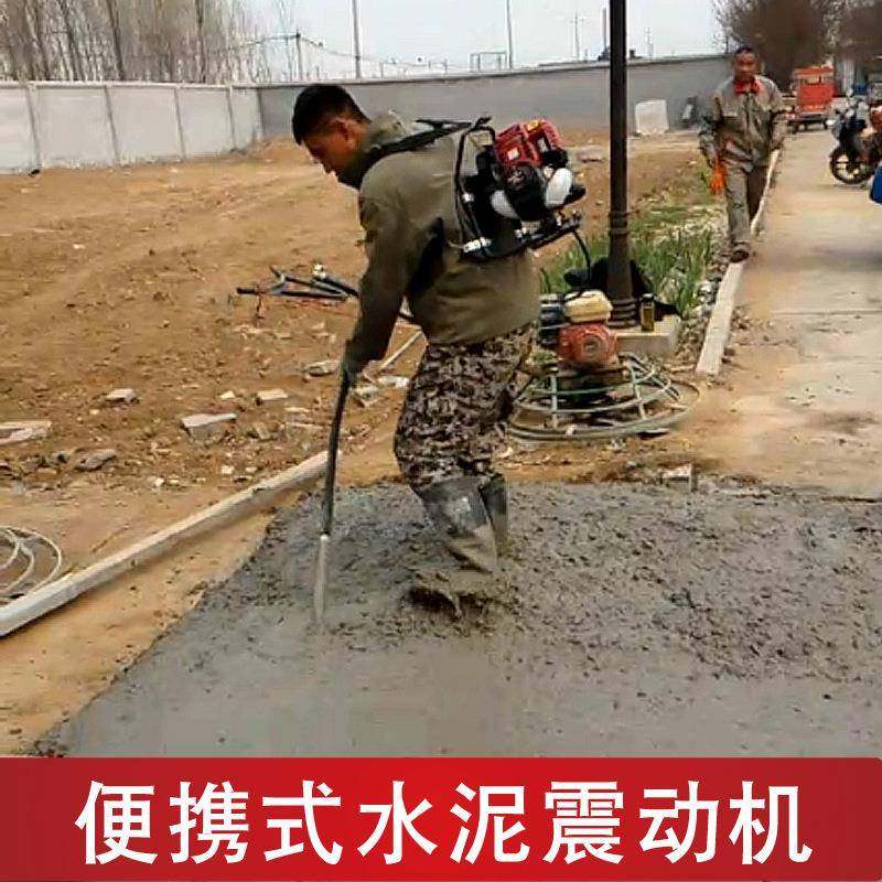 工程用插入式汽油水泥振动棒大功率手提电动混凝土砂浆搅拌器