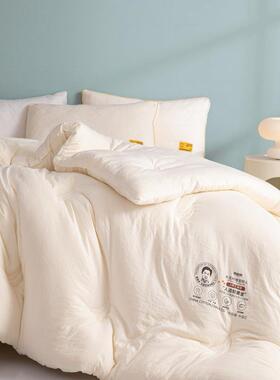 A暖类李DF-6826官豆纤维被子大豆被芯大加厚冬被保冬季奇被芯春秋