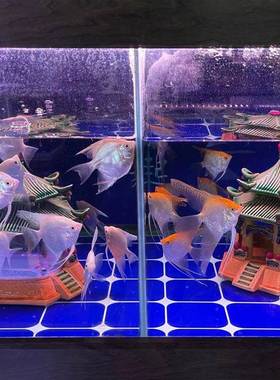 赛克正面FPC带干胶蓝色玻鱼缸贴马不胶黑色鱼缸璃背景贴白色格子