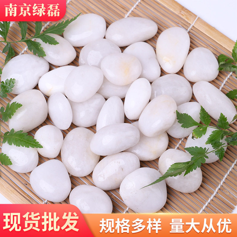 白色抛光鹅卵石 盆栽鱼缸亮光雨花石 园艺铺地装饰园林景观石头