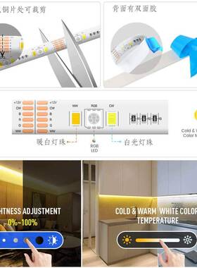 50色50RGB+2835CCT白光暖白双温灯带低压12V4V2七灯彩变色防RGBCC
