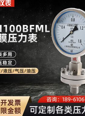 YN100BFML螺纹式防腐蚀全不锈钢隔膜压力表膜片316L重密度含粉末