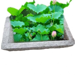 农村老物件家用旧老式超大号中号大大号打年糕打麻糍粑石臼石窝子