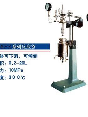 FMR反应釜电加热、智能控制FMPR1-10温控高压可加热