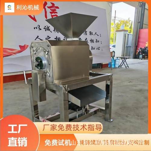 厂家供应芒果去核打浆机黄皮果山楂红枣打浆机不锈钢去核设备