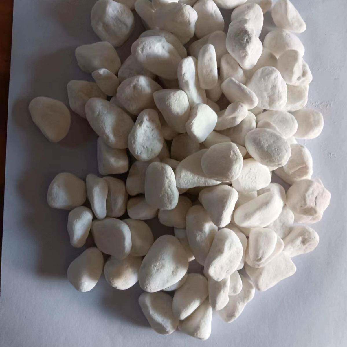 白342色鹅卵路石雪花白卵砾石庭院白石子铺洗造景白色水石白鹅石