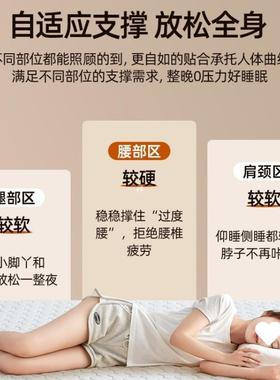 床ll新款忆棉垫AXS家用软垫卧室榻榻米薄款单学生宿舍人租房记海