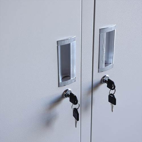 门更衣柜员工宿舍007两带储锁工衣柜两门物收纳柜拆装子铁皮柜