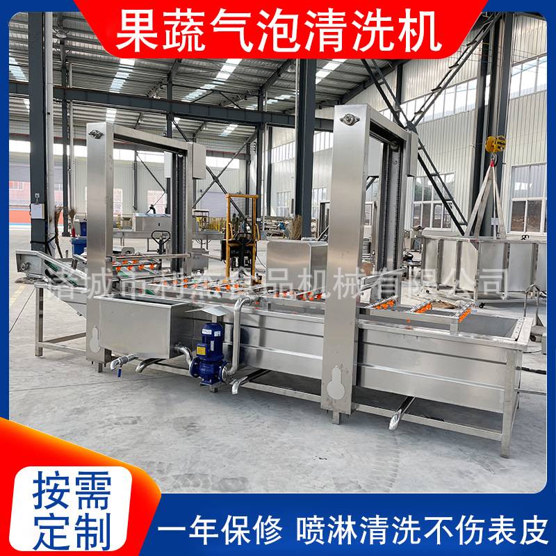 全自动小龙虾清洗机 大枣气泡清洗机设备 网带式豌豆清洗机厂家
