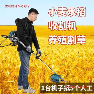德机国汽油割草进口四冲程荒背负式小型家用农用开园FPA林草打除