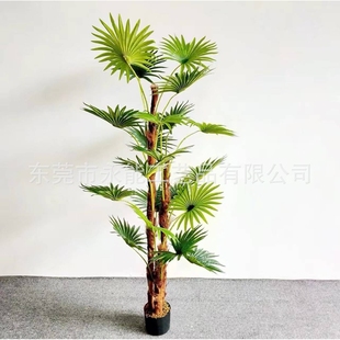 仿真蒲葵树唐棕葵 人造扇葵树盆栽 室内假绿植扇形树道具装扮厂家