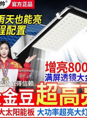 路灯户家用庭院灯d大功率le农TYA村路外灯防水防雷自动照明灯