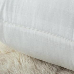 色简约柔软抱大枕芯全方形60靠白枕芯沙发靠背内枕芯芯棉靠垫芯子