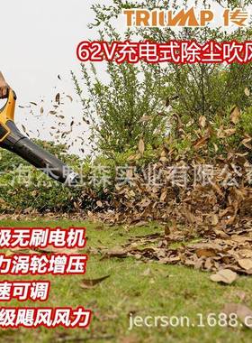 TPBL除TP充BL620562V电式吹风机手提无线尘锂电吹树叶鼓风机