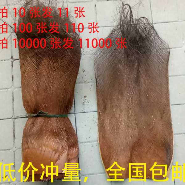 棕树皮棕衣棕毛棕榈衣棕丝棕片棕皮装饰绿萝棒椰棕棒茅草屋用