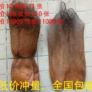 棕树皮棕衣棕毛棕榈衣棕丝棕片棕皮装饰绿萝棒椰棕棒茅草屋用