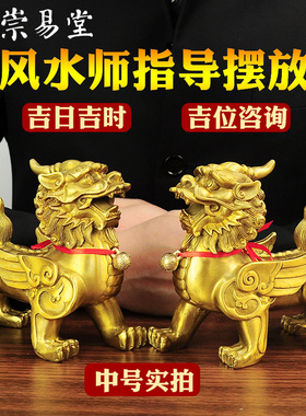 纯铜貔貅招财摆件一对客厅丘办公室店铺中式大小号镇守宅飞天貔恘