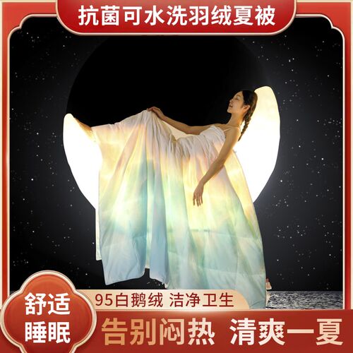 夏季可水洗机洗95白鹅绒u夏被空调被被芯单双人夏凉被暖气羽绒被