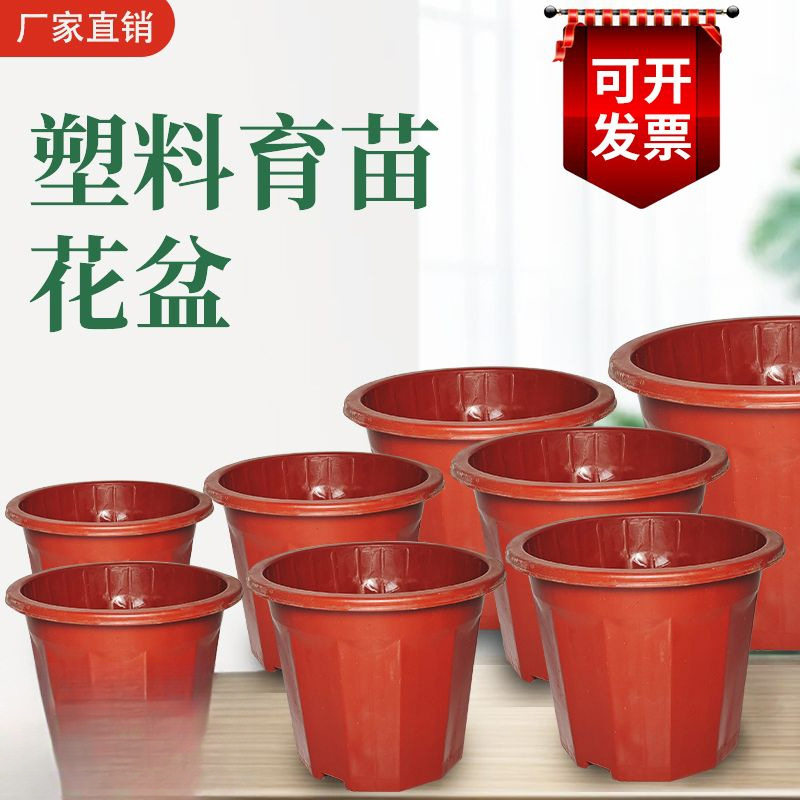 塑料花盆厂家直销加厚耐用大小号自吸育苗盆家用种植花盆