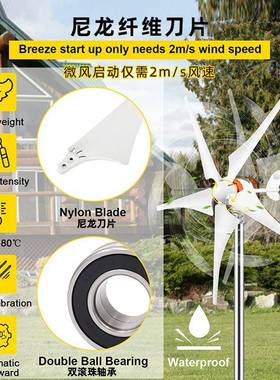 2V/AC风力涡轮0机套，带MP件P1T控制器的100W风力发电机5叶片1000