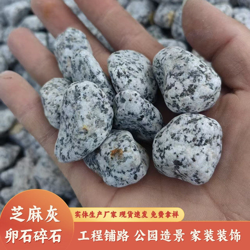 天然芝麻灰黑白点砾石花岗岩碎石子芝麻白石子枯山水造景水磨石