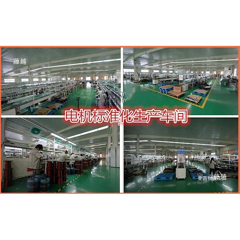 电动三轮车电差速刷50AL0W800W1000w电机无电机有齿电机机差速电