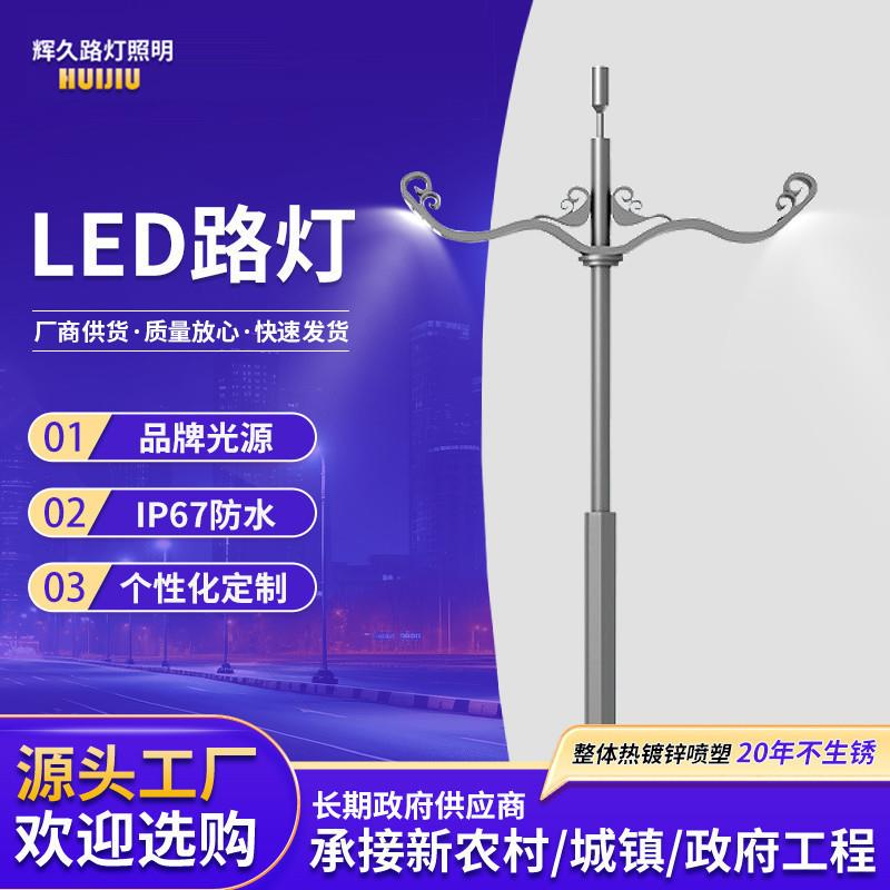 景观灯led单双臂高杆灯市电新农村户外照明灯带广场球场高亮路灯