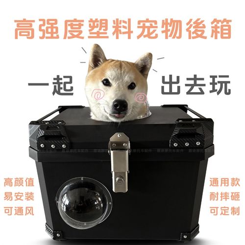 定制摩托车宠物猫狗尾箱比熊泰迪犬后备箱法斗柴犬博美电动车后箱