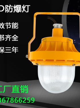 led防爆灯20w30w40w50ww60w免维护防水节能灯化工厂仓库照明吸顶
