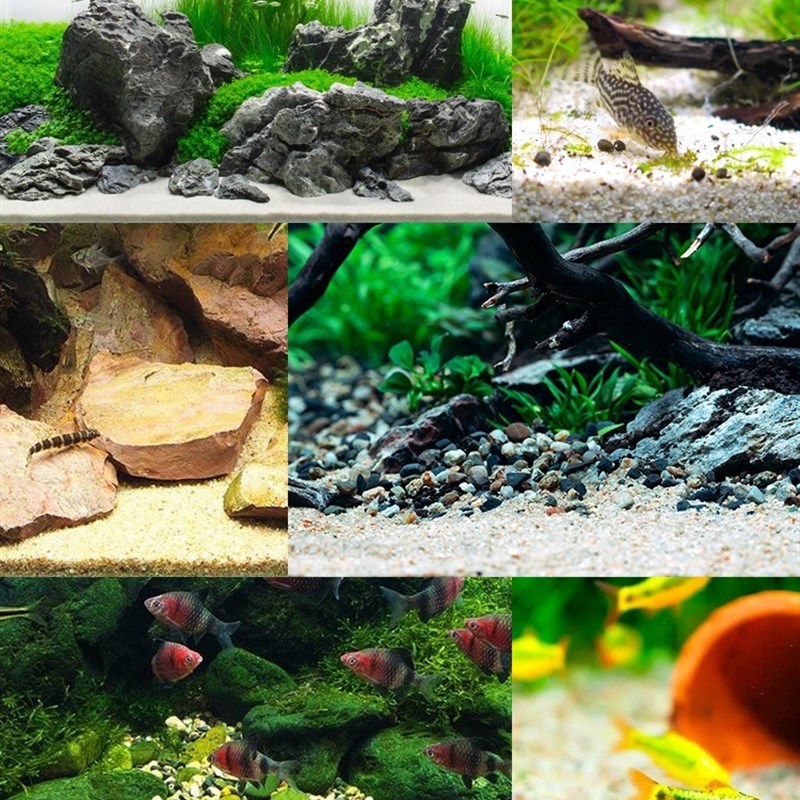 化妆沙鱼缸底沙天然河沙大机砂南美红棕沙鼠鱼装饰沙鱼缸造景装饰