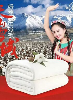 新疆长绒棉花被芯天山雪域棉胎冬被棉H絮垫被千层无网棉被芯包邮