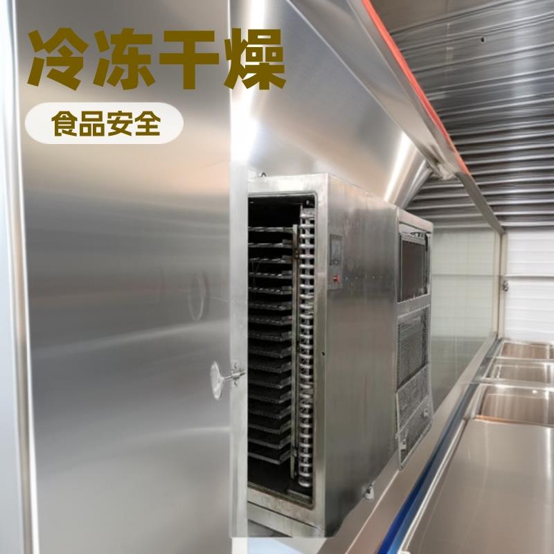 10~100平食品冻干机商用果蔬脆宠物能耗低真空冷冻干燥机真空冻干