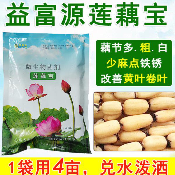 益富源莲藕宝em菌种专用肥料藕田重茬麻点黄叶藕锈卷叶枯萎膨大素