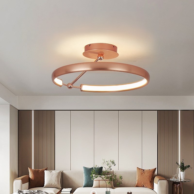 德国柏曼轻奢客厅灯m 简约现代创意圆环吸顶灯2024年新款卧室主灯