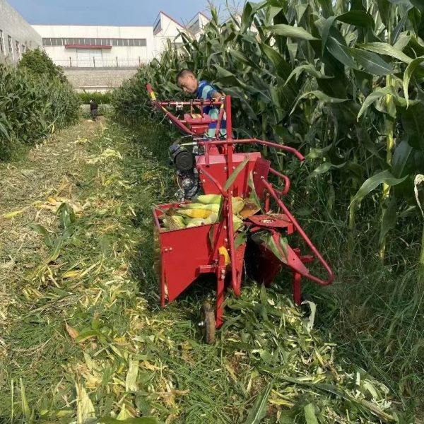 秸秆粉碎还田苞谷收获一体机分体机多功能小型用玉米收割机,农机/农具/农膜,农业检测设备,淘宝优惠券,粉丝福利购,淘宝优惠卷