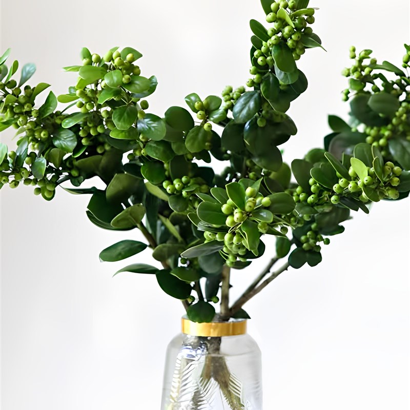 绿色带叶冬青f果鲜切枝水培植物野趣果材夏季清凉插花云南直发鲜