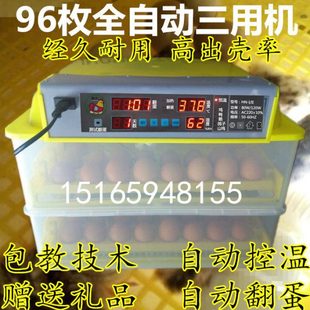 惠农浮化机鸡蛋孵抱器孵蛋器小型全自动家用孵卵机自动加水暖化箱