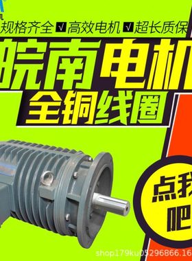 皖南电机YG-90L2 2.2KW辊道用变频调速三相异步电动机5.5kw7.5kw