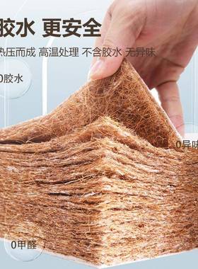 LXQ厂家直销椰棕米棕垫折叠床垫儿童偏硬乳胶山薄棕18棕.榈垫子