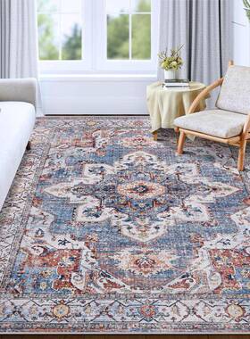 RSX-fyr-亚马逊客厅地毯可水波洗西波米亚东方做旧西地米亚防滑毯