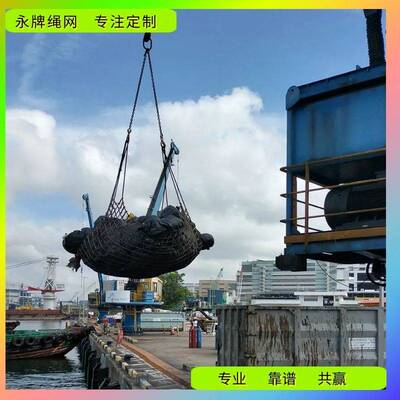 吊网 尼龙吊货网兜 深圳中山南沙阳江北海洋浦港口码头装卸起重网