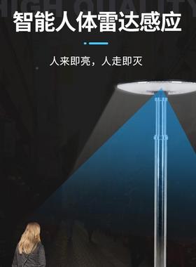 L能E一体化太阳庭院CS-24户外别墅小区花园广场D高杆灯遥控感应灯灯X20