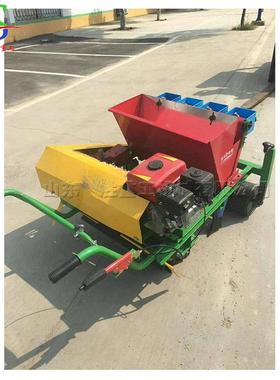 点种设备拖拉机悬挂PVI式四行六行种植小机型手卜扶萝大蒜播种机