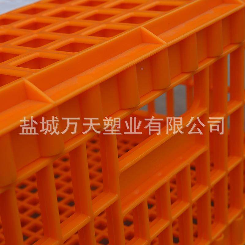 SC鸡鸭笼转塑料鸡笼周箱备肉鸡笼子蛋转鸡笼周箱养殖设SC04,五金/工具,周转箱/储物箱/收纳箱,淘宝优惠券,粉丝福利购,淘宝优惠卷