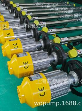 上海旺泉HD-EX2-V+SS316L-1000防爆电动抽液泵、防爆CE认证插桶泵